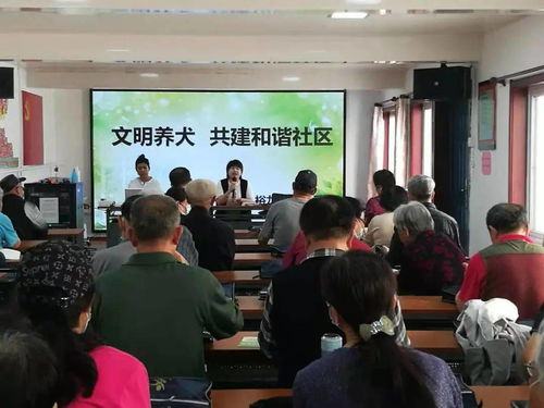 為愛寵加一道“安全鎖”——光明街道養(yǎng)犬登記年檢與免疫一站式服務(wù)紀(jì)實(shí)